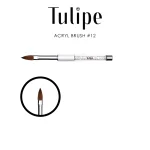 טוליפ מכחול קולינסקי לאקריל #12