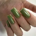 PNB לק ג’ל #06L – תמונה 3